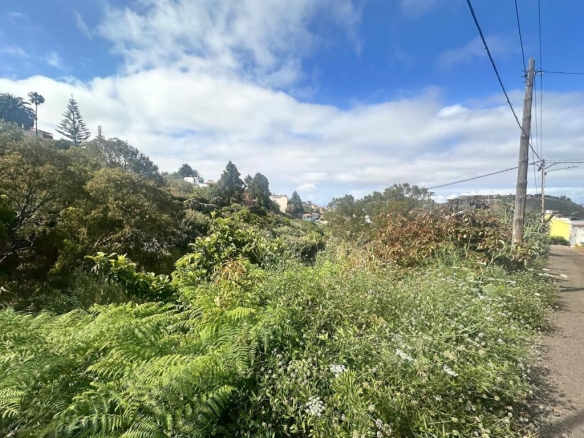 Imagen 2 de Solar urbano en Teror