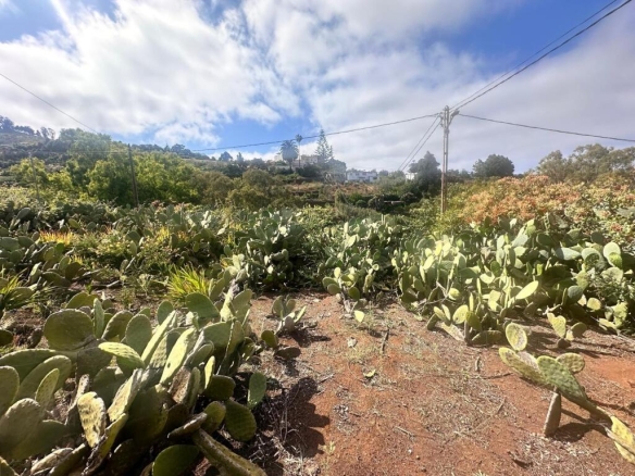 Imagen 3 de Solar urbano en Teror