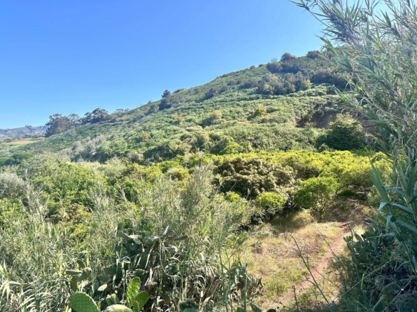 Imagen 4 de Solar urbano en Teror