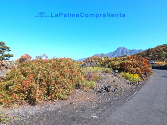 Imagen 2 de Suelo rústico en Venta en Paso