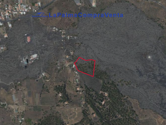 El Santa Cruz de Tenerife