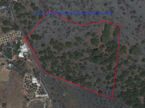 Imagen 2 de Suelo rústico en Venta en Paso