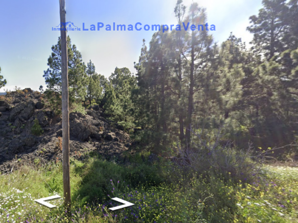 El Santa Cruz de Tenerife