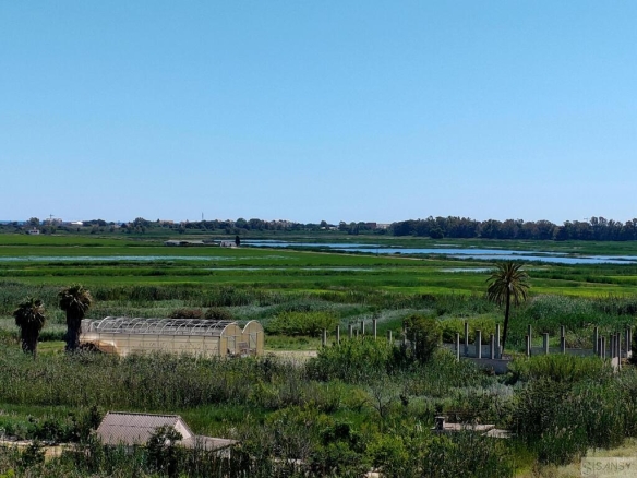 Imagen 2 de Casa-Chalet en Venta en Alicante Alicante