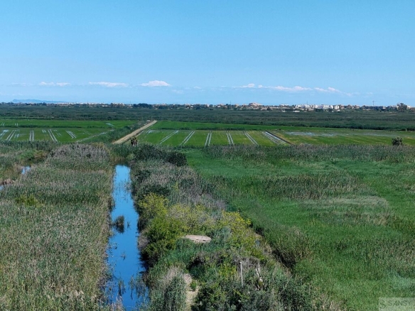 Imagen 3 de Casa-Chalet en Venta en Alicante Alicante