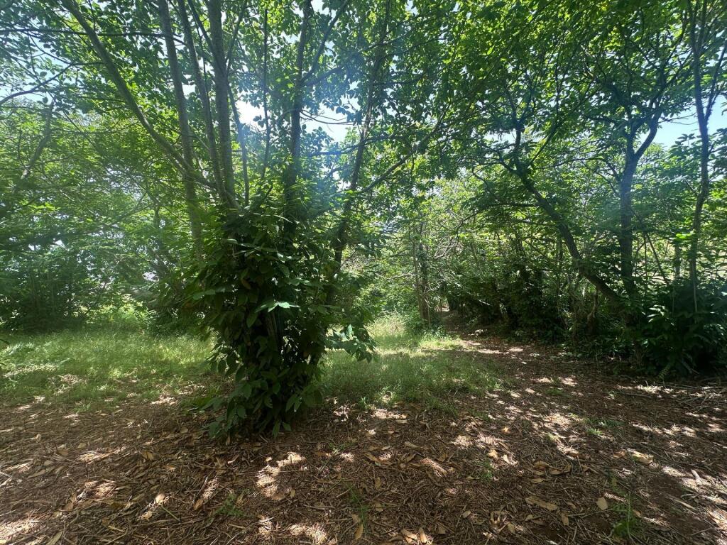 Imagen 3 de Finca en Teror