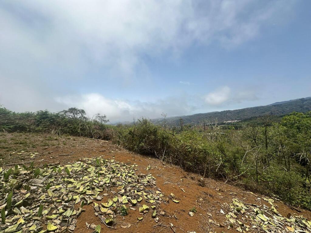 Imagen 4 de Finca en Teror