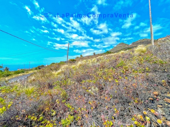 Imagen 1 de Suelo rústico en Venta en Villa De Mazo Santa Cruz de Tenerife