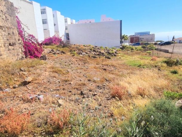 Imagen 2 de VENTA DE SOLARES CON PROYECTO Y LICENCIA EN INGENIO