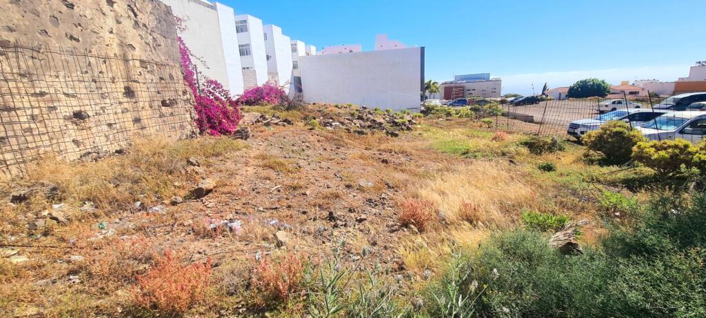 Imagen 2 de VENTA DE SOLARES CON PROYECTO Y LICENCIA EN INGENIO