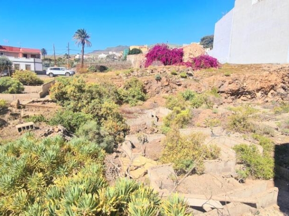 Imagen 4 de VENTA DE SOLARES CON PROYECTO Y LICENCIA EN INGENIO