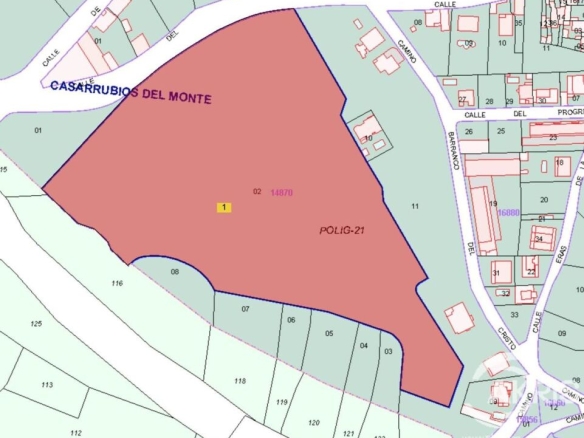Imagen 2 de FINCA RUSTICA EN CASARRUBIOS **PRECIO A CONSULTAR**