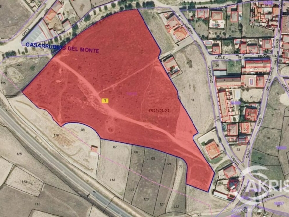 Imagen 1 de FINCA RUSTICA EN CASARRUBIOS **PRECIO A CONSULTAR**