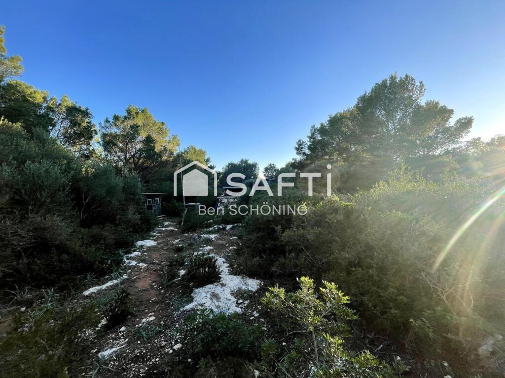 Imagen 3 de Parcela Rustica de 15000 m2 en Cala Morell