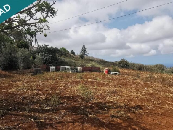 Imagen 4 de Solar a la venta en Los Peñones – Los Castillos (Arucas)