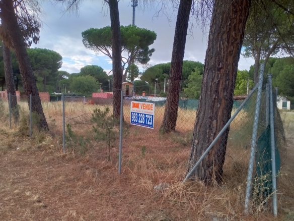 Imagen 3 de Suelo urbanizable en Venta en Traspinedo Valladolid