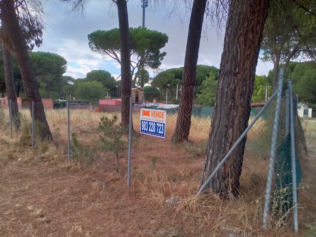 Imagen 3 de Suelo urbanizable en Venta en Traspinedo Valladolid