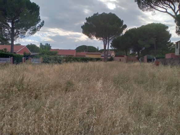 Imagen 4 de Suelo urbanizable en Venta en Traspinedo Valladolid