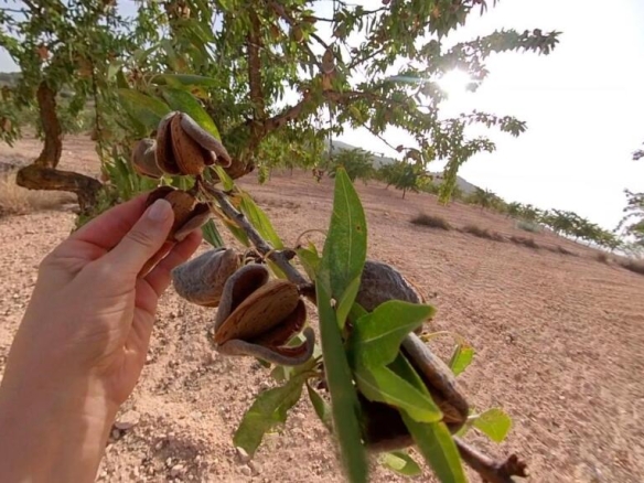 Imagen 1 de Tu refugio natural con alma y potencial único