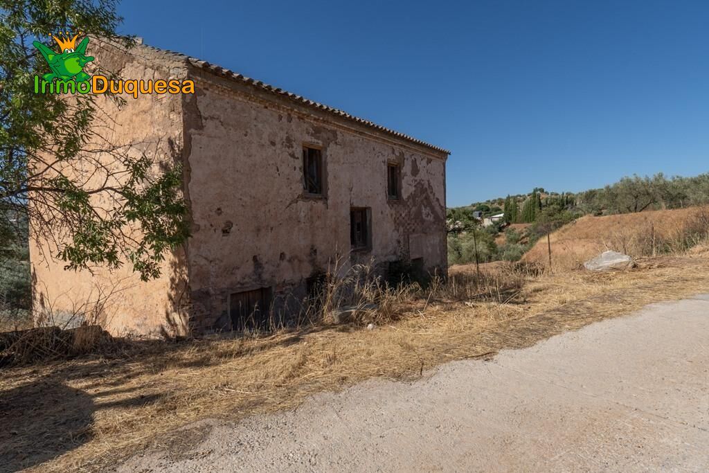 Imagen 3 de Terreno RÚSTICO con cortijo en Cogollos Vega