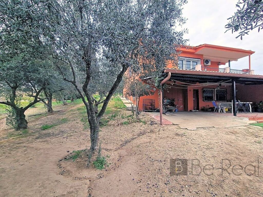 6 HECTÁREAS DE TERRENO RÚSTICO EN VILLANUEVA DE LA CAÑADA (MADRID).