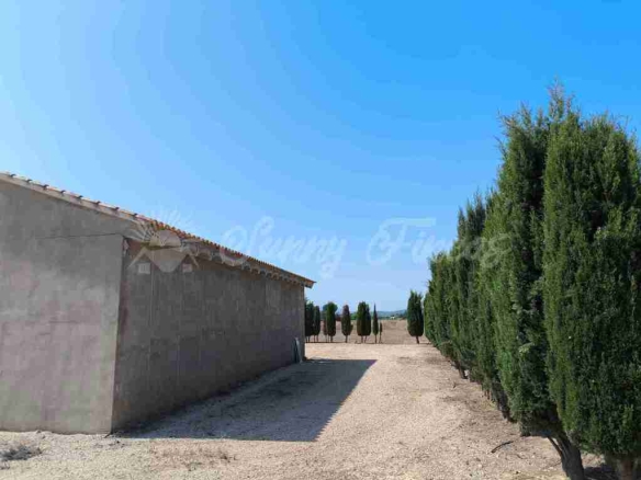 Imagen 2 de Casa de campo-Masía en Venta en Caudete Albacete