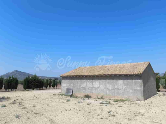 Imagen 3 de Casa de campo-Masía en Venta en Caudete Albacete