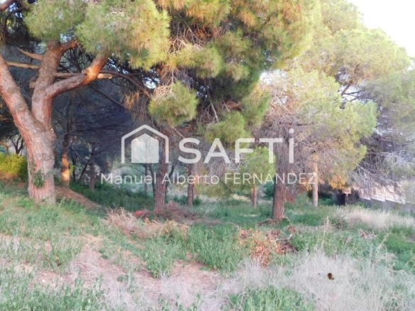 Imagen 3 de Vive entre el mar y la exclusividad en Can Quirze