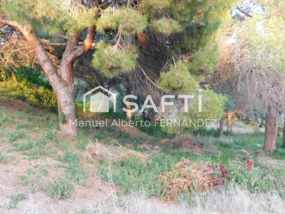 Imagen 4 de Vive entre el mar y la exclusividad en Can Quirze