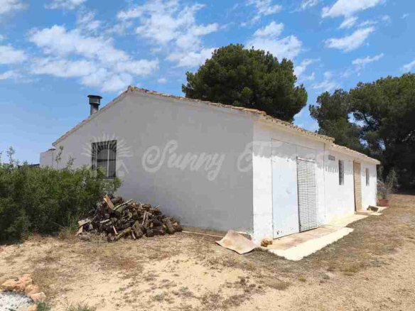 Imagen 3 de Casa de campo-Masía en Venta en Jumilla Murcia