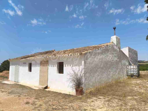Imagen 1 de Casa de campo-Masía en Venta en Jumilla Murcia - El Club del Propietario Imagen 1 de Casa de campo-Masía en Venta en Jumilla Murcia