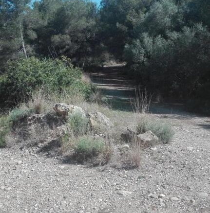 Imagen 3 de Suelo rústico en Venta en Tarragona Tarragona