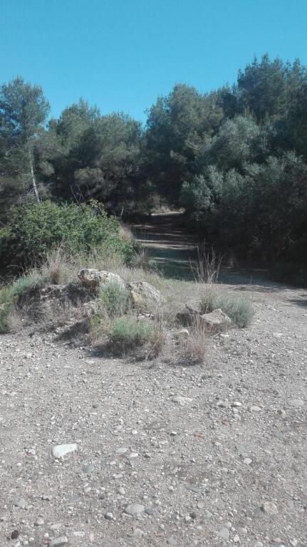 Imagen 3 de Suelo rústico en Venta en Tarragona Tarragona