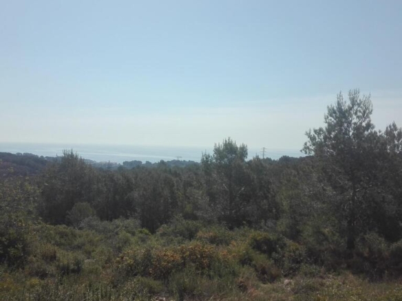 Imagen 4 de Suelo rústico en Venta en Tarragona Tarragona