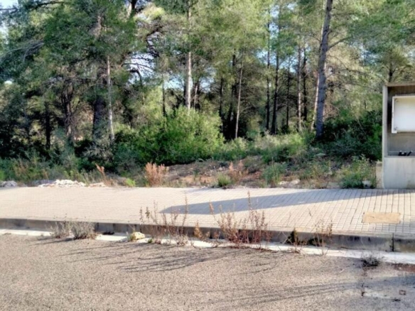 Imagen 2 de Solar urbano en Venta en Catllar