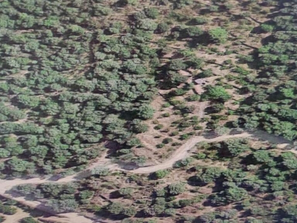 Imagen 1 de Suelo rústico en Venta en Aleixar