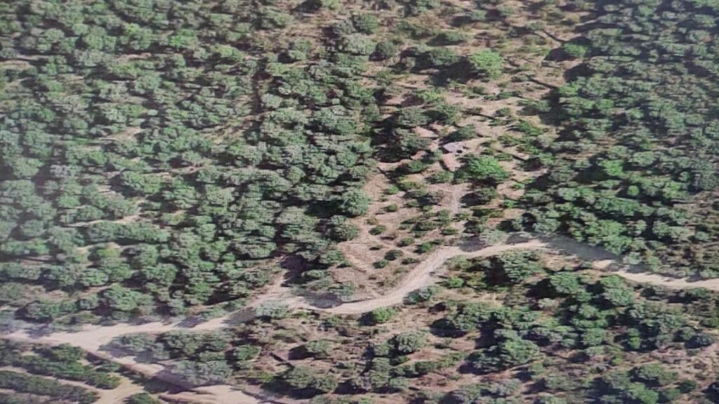 Imagen 1 de Suelo rústico en Venta en Aleixar