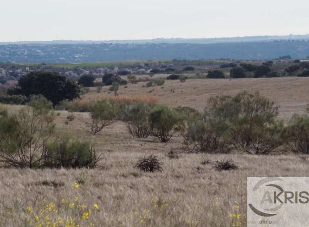 Imagen 2 de TERRENO EN CASARRUBIOS **CONSULTAR PRECIO**