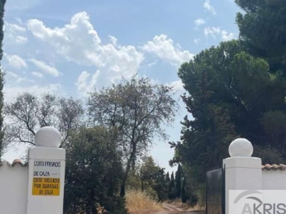 Imagen 3 de TERRENO EN CASARRUBIOS **CONSULTAR PRECIO**