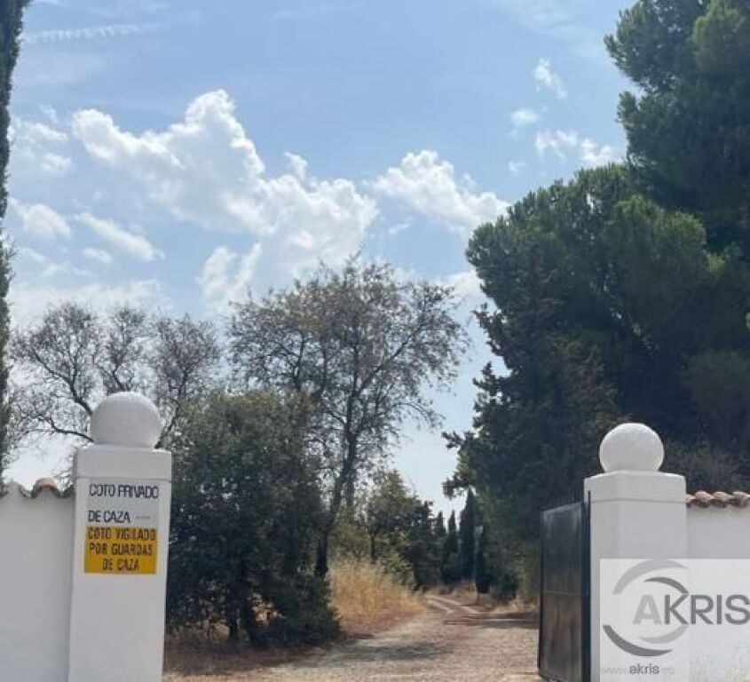 Imagen 3 de TERRENO EN CASARRUBIOS **CONSULTAR PRECIO**