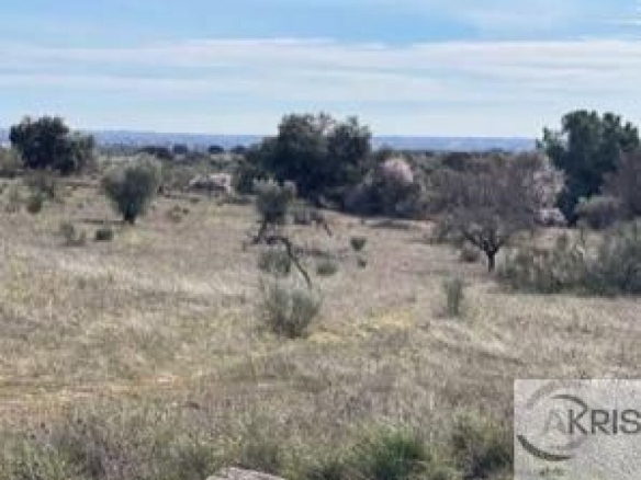 Imagen 1 de TERRENO EN CASARRUBIOS **CONSULTAR PRECIO**