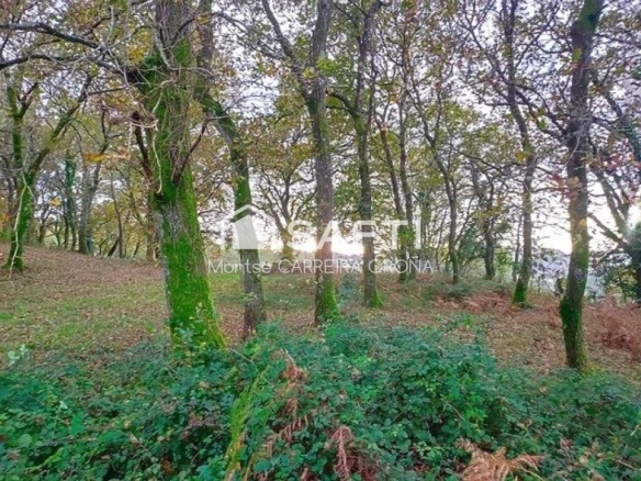 Imagen 4 de OPORTUNIDAD!!ESPECTACULAR  ARBOLEDA DE 7.000 METROS CUADRADOS CON BONITA CASA DE PIEDRA PARA RESTAURAR