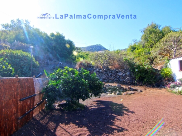 Imagen 4 de Casa-Chalet en Venta en Roque Faro Santa Cruz de Tenerife