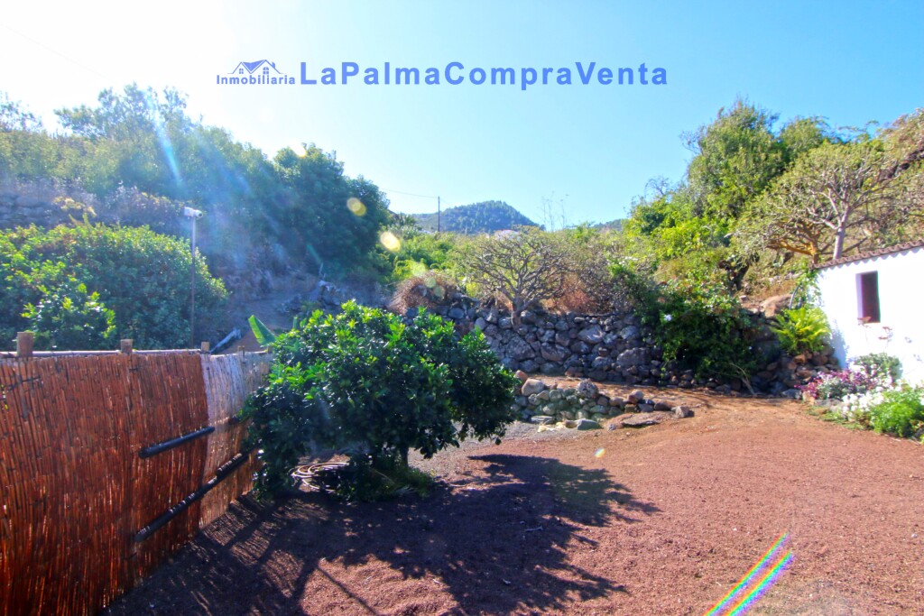 Imagen 4 de Casa-Chalet en Venta en Roque Faro Santa Cruz de Tenerife