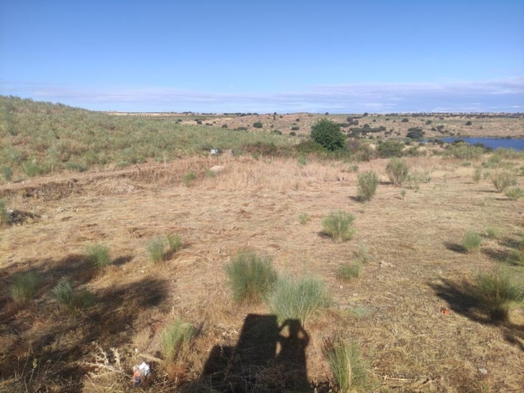 Imagen 4 de PARCELA JUNTO AL PANTANO EN CLUB GOLF LAYOS