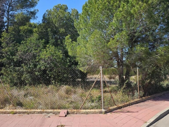 Imagen 2 de GRAN TERRENO EN EL ROMANÍ. PARCELA DISPONIBLE