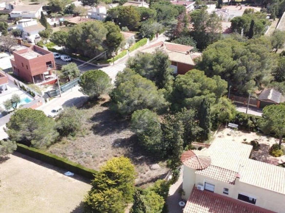 Imagen 3 de GRAN TERRENO EN EL ROMANÍ. PARCELA DISPONIBLE