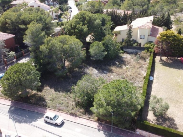 Imagen 4 de GRAN TERRENO EN EL ROMANÍ. PARCELA DISPONIBLE