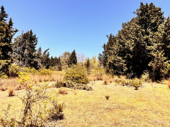 Imagen 2 de Solar residencial en Venta en Estepona Málaga