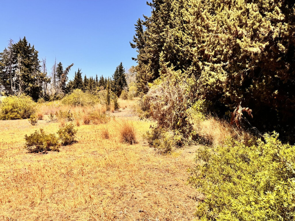 Imagen 3 de Solar residencial en Venta en Estepona Málaga